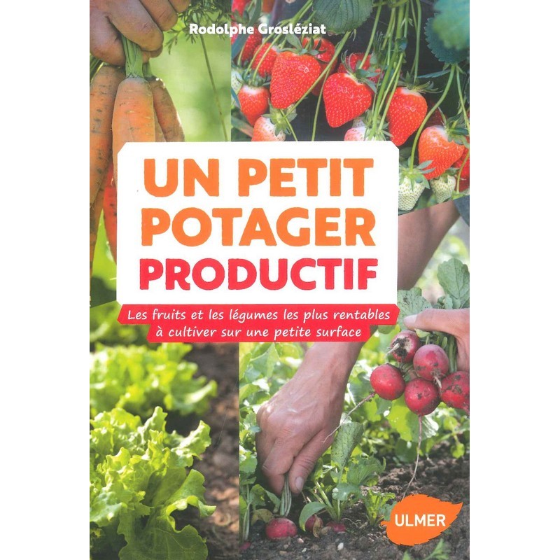 Un petit potager productif