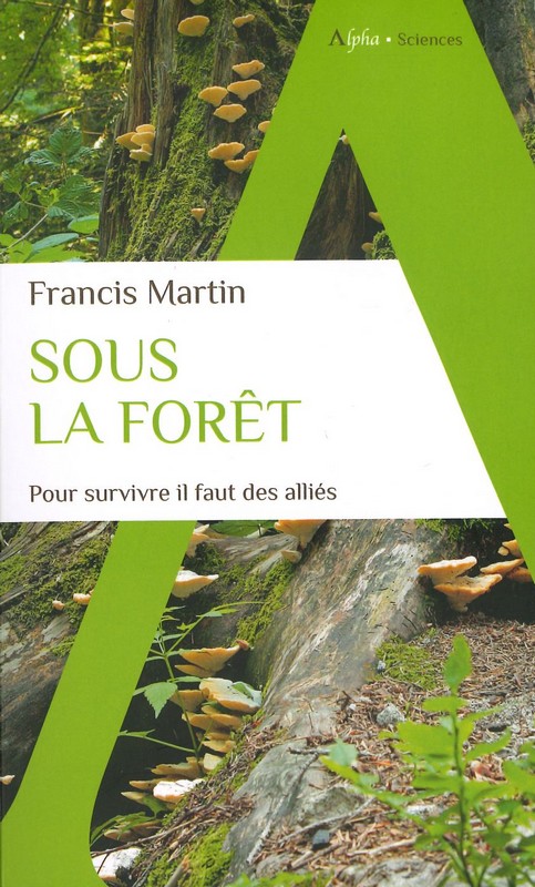 Sous la forêt pour survivre il faut des alliés