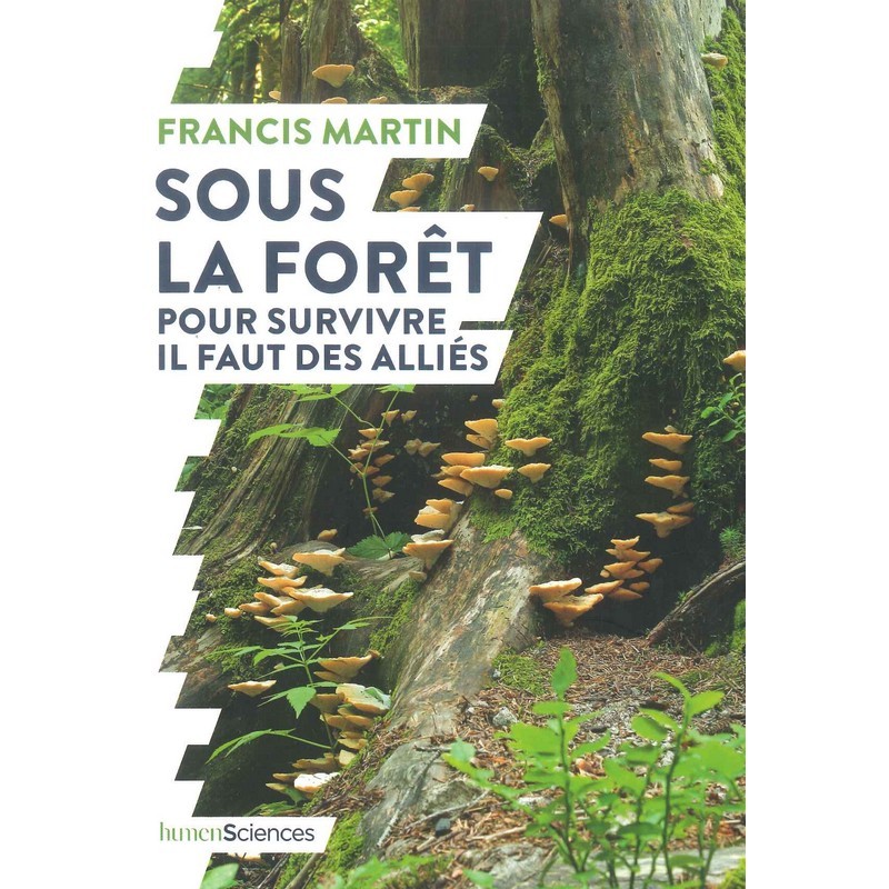 Sous la forêt pour survivre il faut des alliés