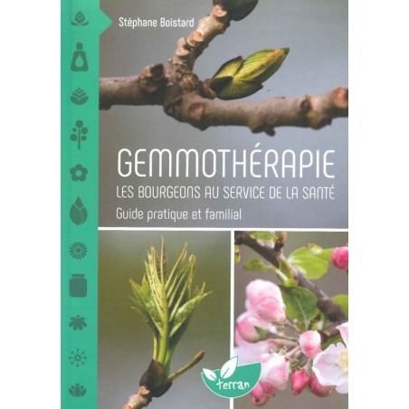 Gemmothérapie Les bourgeons au service de la santé