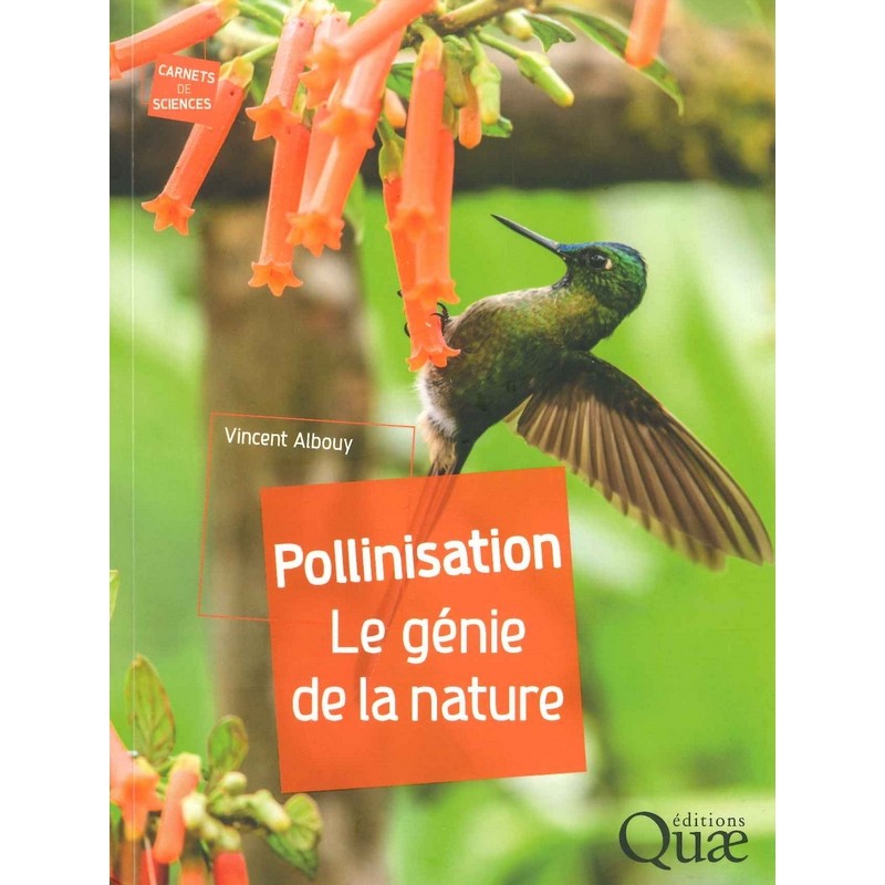 Pollinisation le génie de la nature