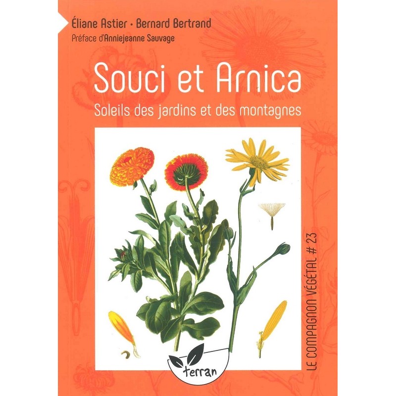 Souci et arnica