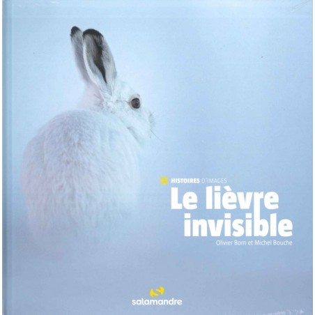 Le Lièvre invisible