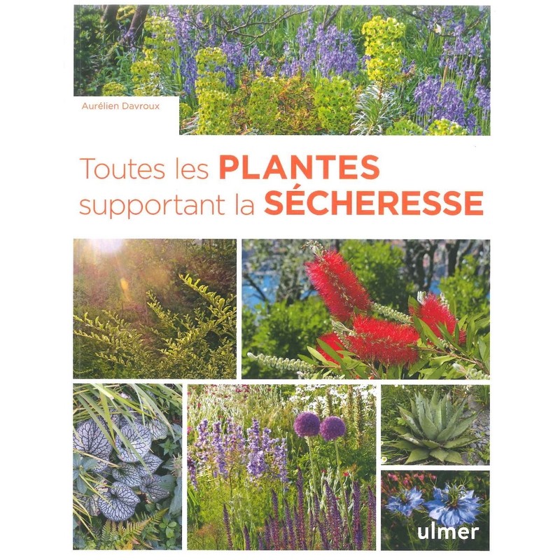 Toutes les plantes supportant la sécheresse