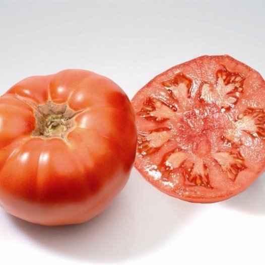 Tomate Marmande