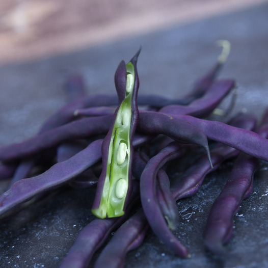 Haricot à Rames Mangetout à Cosses Violettes