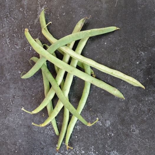 Haricot Nain Mangetout Roi des Belges