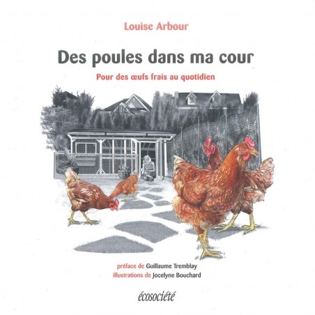 Des poules dans ma cour