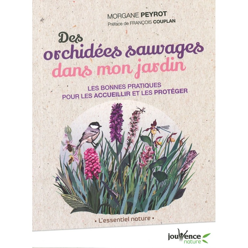 Des Orchidées sauvages dans mon jardin