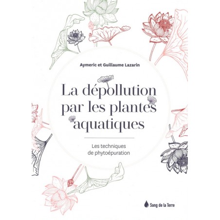 La dépollution par les plantes aquatiques