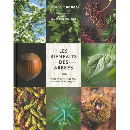 Les Bienfaits des arbres