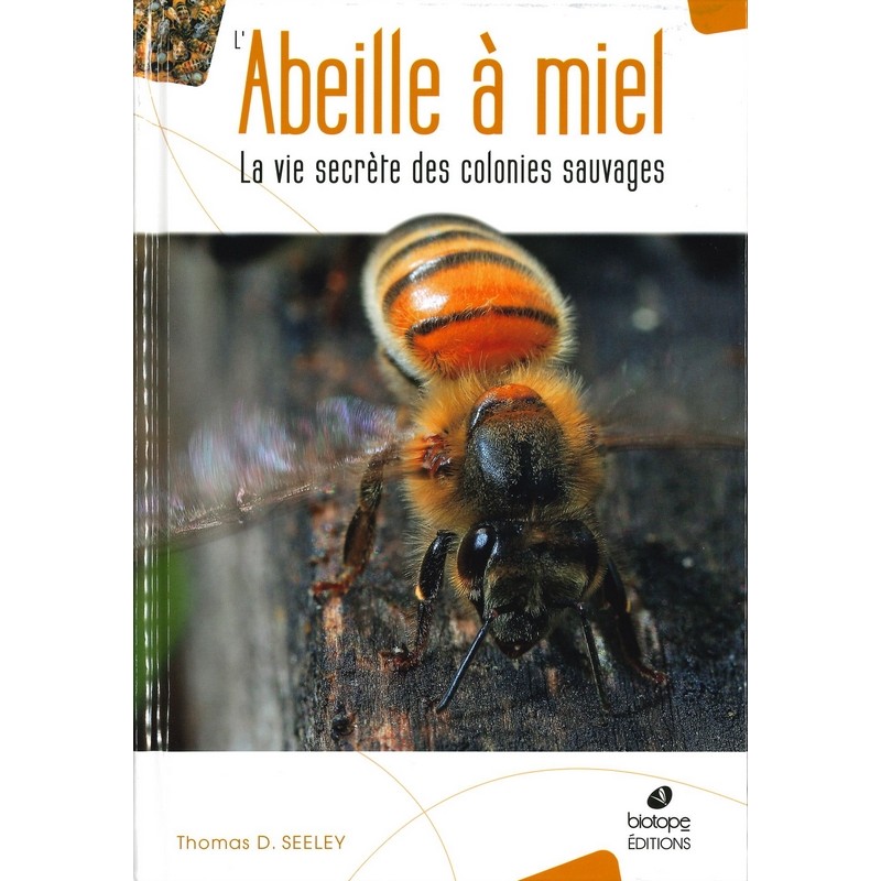 Abeille à miel