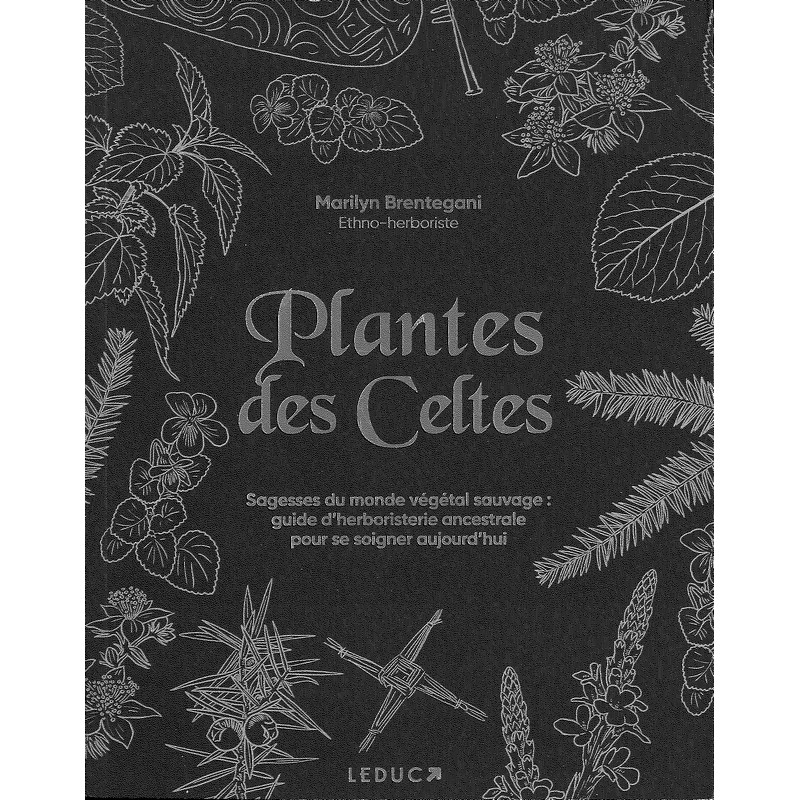 Plantes des Celtes