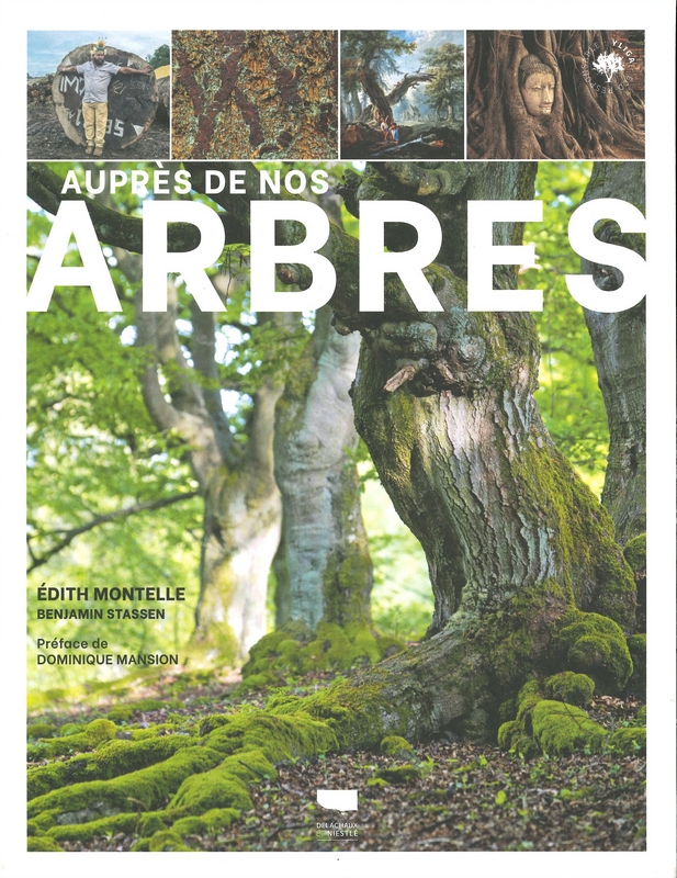 Auprès de nos arbres