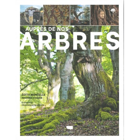 Auprès de nos arbres