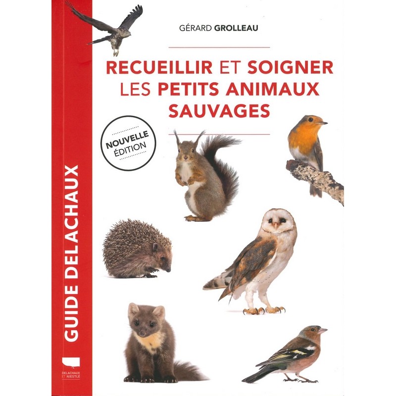 Recueillir et soigner les petits animaux sauvages