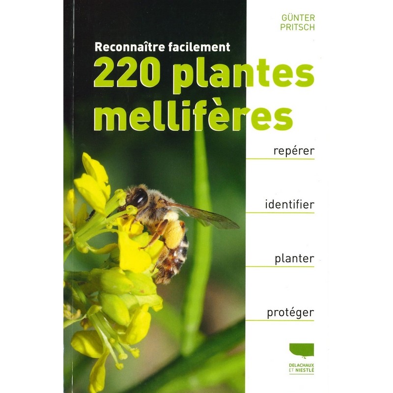 Reconnaitre facilement 220 plantes mellifères
