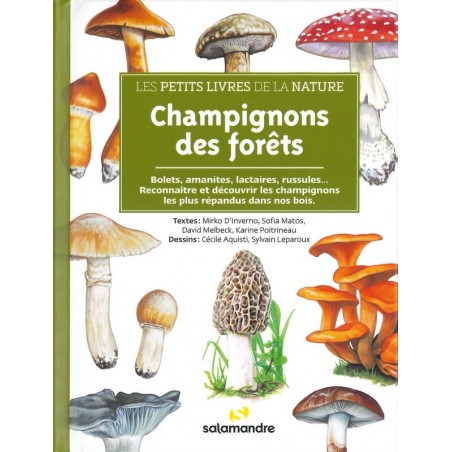 Champignons des forêts les petits livres de la nature