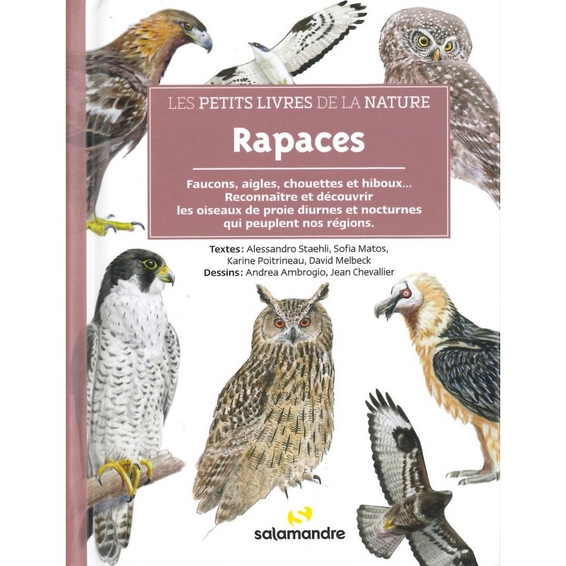 Rapaces les petits livres de la nature