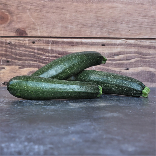 Courgette Black Beauty - L2000