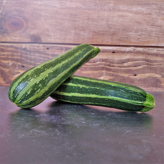 Courgette verte d'Italie