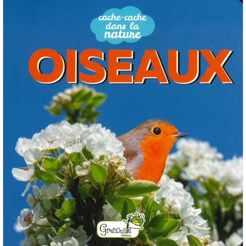 Oiseaux (livre enfant)