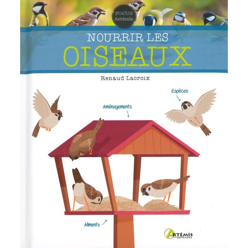 Nourrir les oiseaux