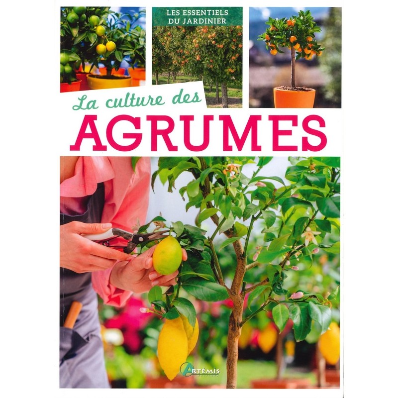 La Culture des agrumes