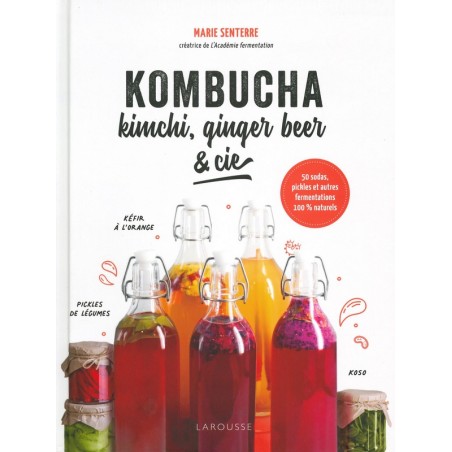 Kombucha, kimchi, ginger beer & cie