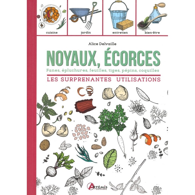 Noyaux écorces