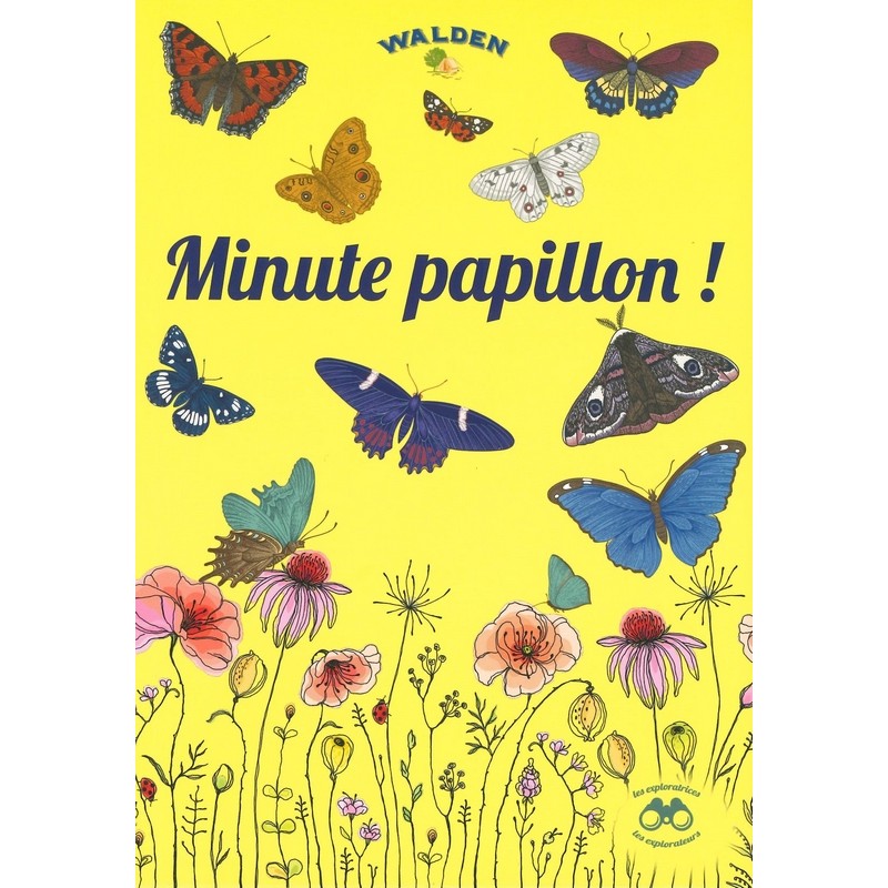 Minute papillon!