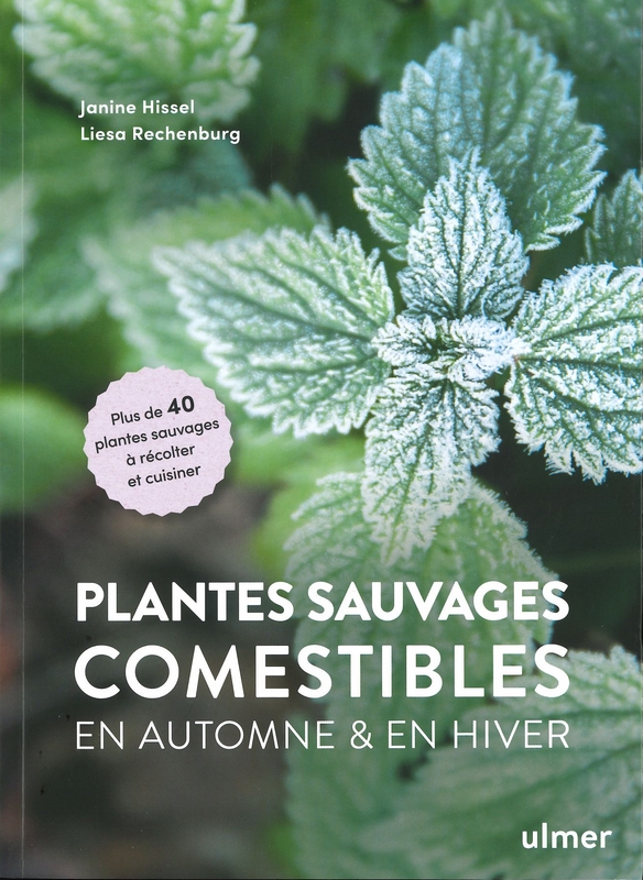 Plantes sauvages comestibles en automne et en hiver