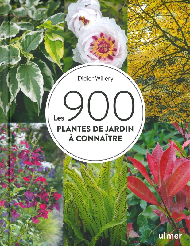 Les 900 plantes de jardin à connaître