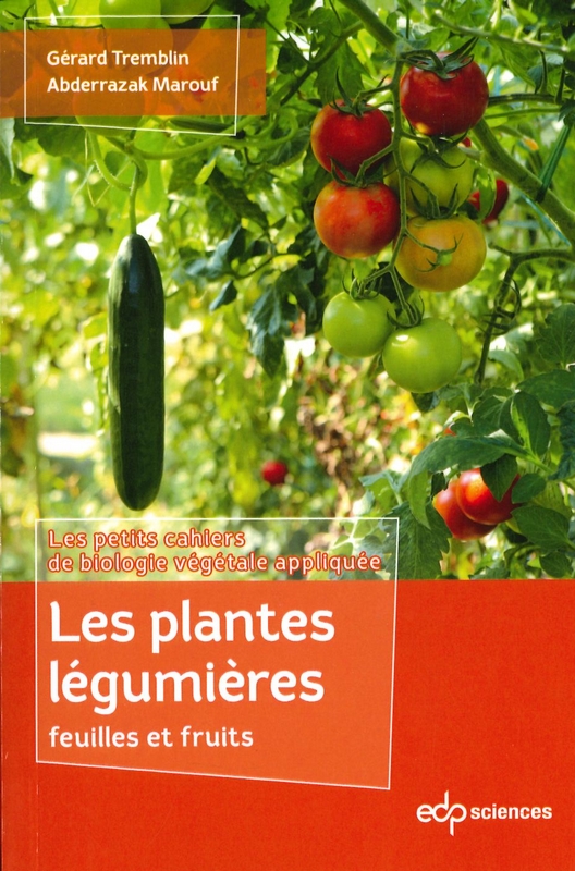 Les plantes légumières feuilles et fruits