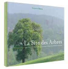 La fête des arbres - soldé