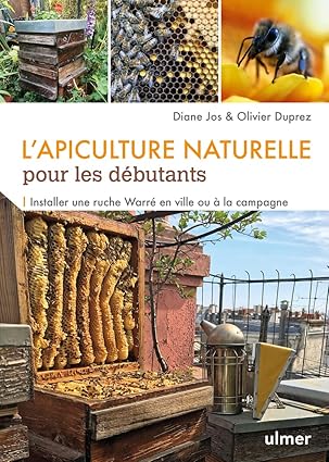 Apiculture Naturelle Pour Les Debutants