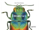 Insectes