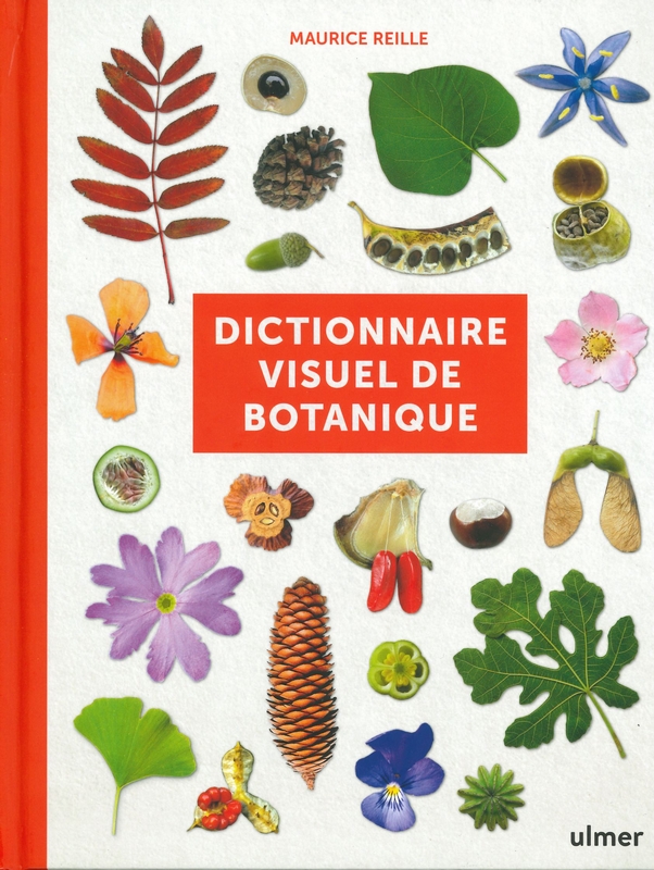 Dictionnaire visuel de botanique