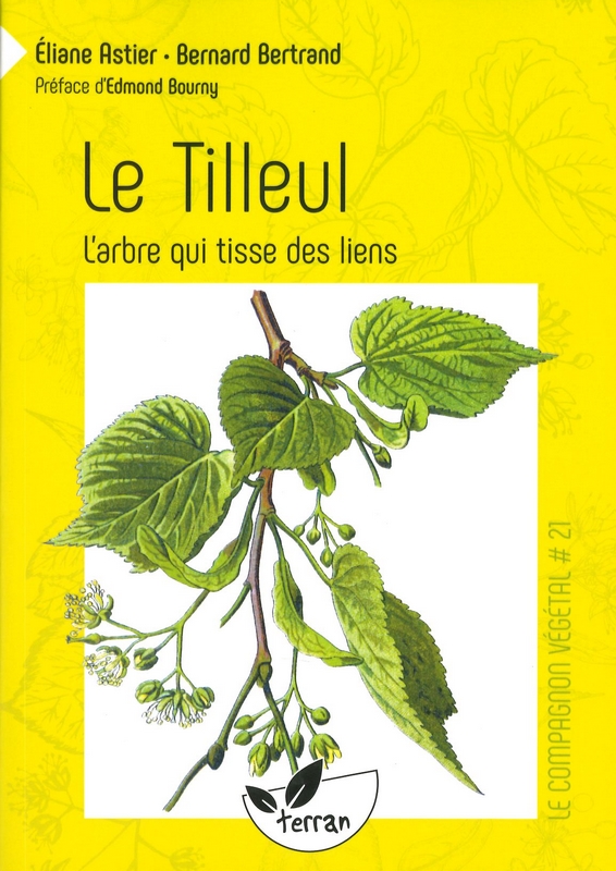 Le tilleul