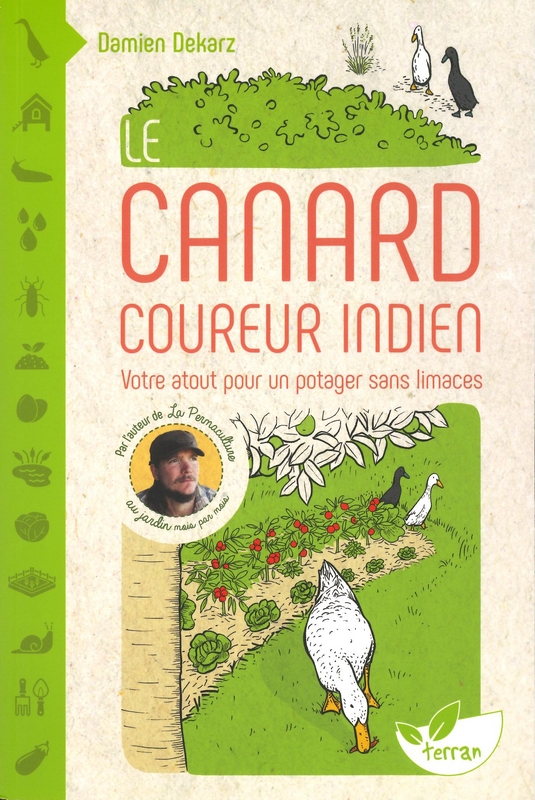 Le canard coureur indien