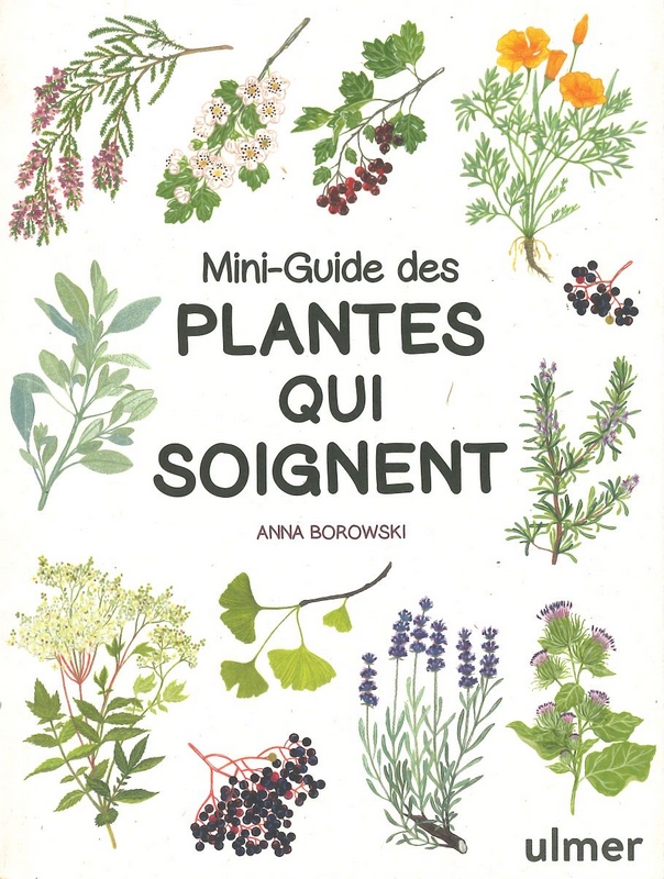 Mini-guide des plantes qui soignent