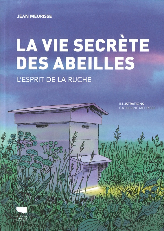 La vie secrète des abeilles l'esprit de la ruche