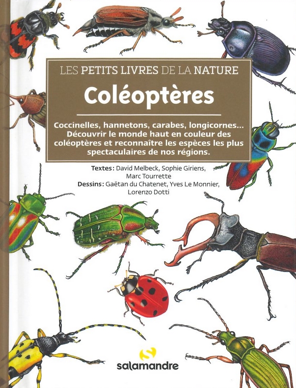 Coléoptères les petits livres de la nature