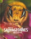 Sauvageonnes abeilles natives