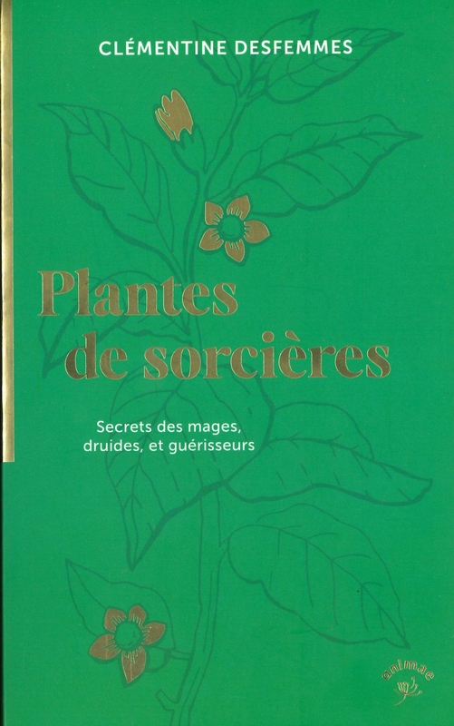 Plantes de sorcières