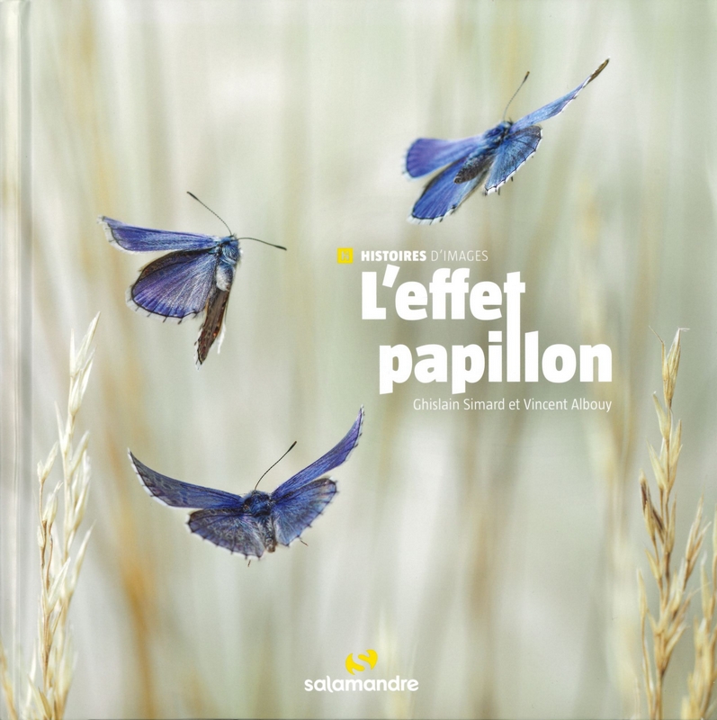 L'effet papillon