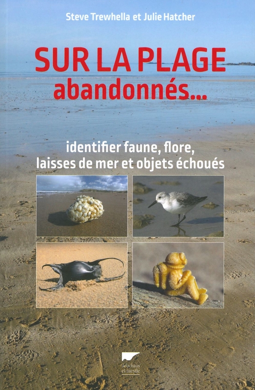 Sur la plage abandonnés...