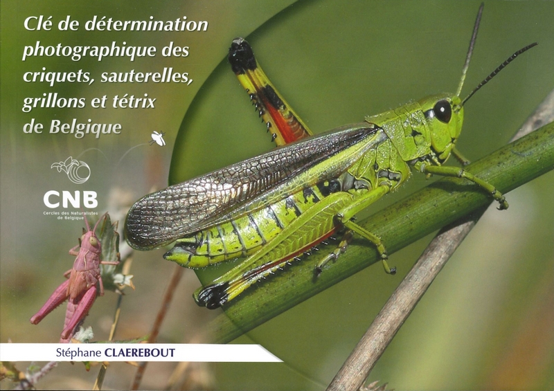 Clé de détermination photographique des criquets sauterelles ..