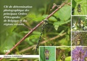 Clé de détermination photographique des principaux ordres d'hexapodes