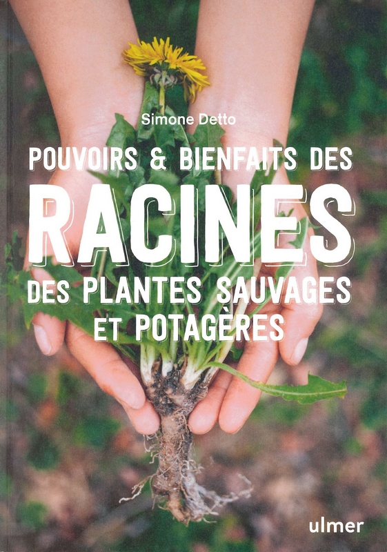 Pouvoirs & bienfaits des racines des plantes sauvages et potagères